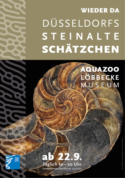 D_Aquazoo_Stein_04072017