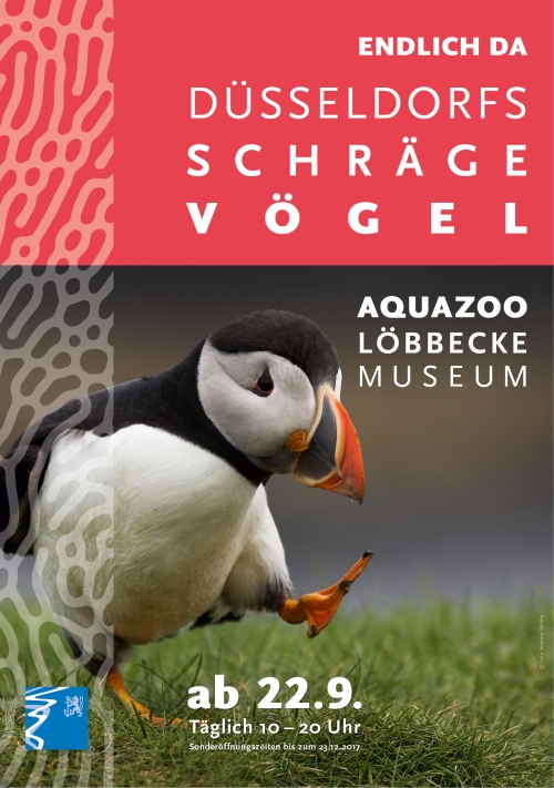 D_Aquazoo_Vogel_04072017