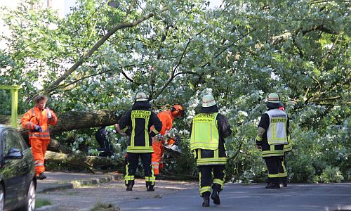 D_Baum_saegen_06062018