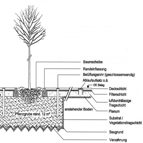 D_BaumscheibeAufbau_20170616