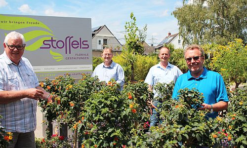 D_Blumen_Stoffels_12062020