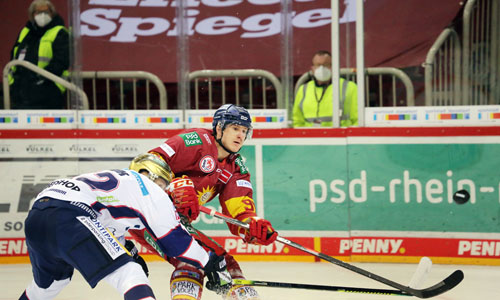 D_DEG-Eisbaeren_guck_20210125.jpg