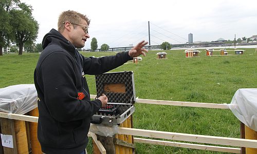 D_Feuerwerk_einer_20052016