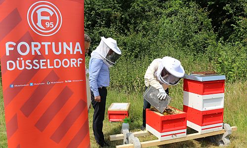 D_Fortuna_Bienen_Einzug_2_26062018