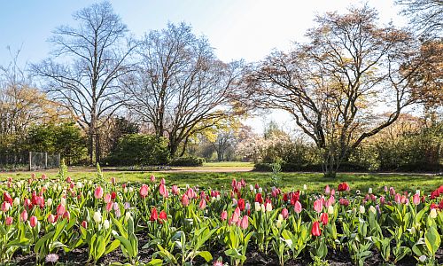 D_Frühling_Nordpark_29032020