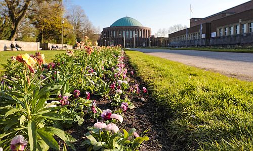 D_Frühling_Tonhalle_29032020