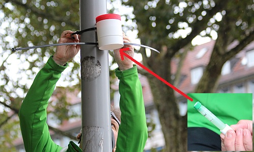 D_Grüne_Dose_18092017