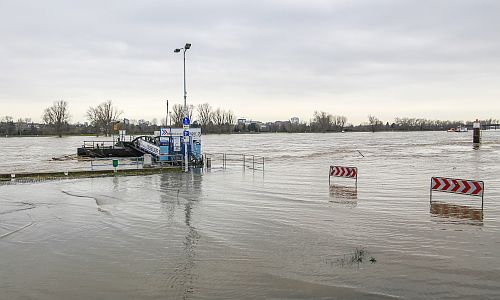 D_Hochwasser_Parken_05022021