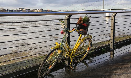 D_Hochwasser_Rad_05022021