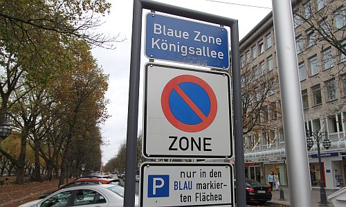 D_Parken_Koe_19112019