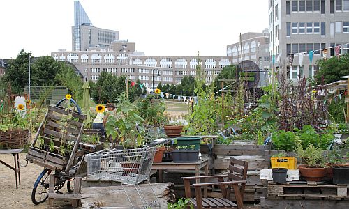 D_Quartier_Garten_27072016