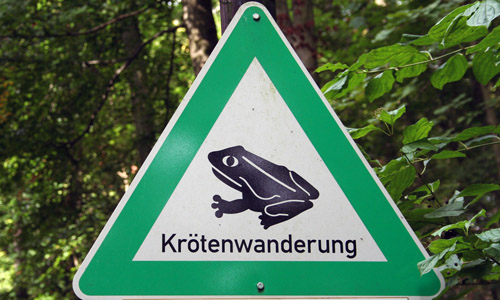 D_SchildKroetenwanderung.20210221.jpg