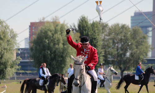 D_SchuetzenOberkassel_Gaensereiten_20190602