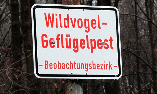 D_Vogelgrippe_Schild_Wald_10012017