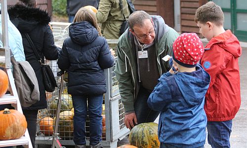 D_WfaA_Verkauf_21102017