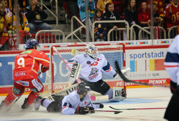 Düsseldorf DEG spiel gegen Nürnberg Ice Tigers