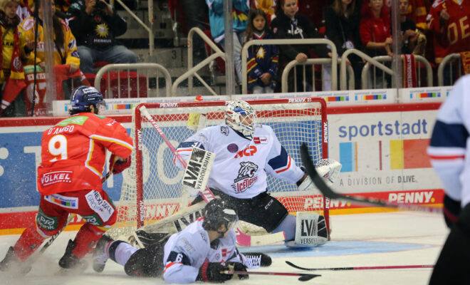 Düsseldorf DEG spiel gegen Nürnberg Ice Tigers