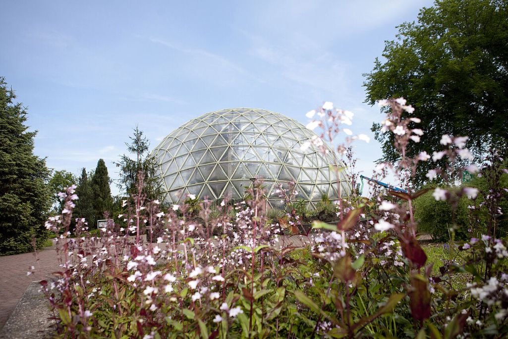 Düsseldorf Am Sonntag ist Frühjahrspflanzenbörse im Botanischen Garten