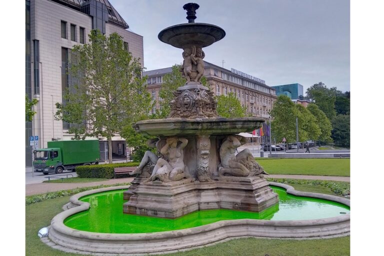 Düsseldorf: Grünes Wasser im Schalenbrunnen ist Aktion von Extinction ...